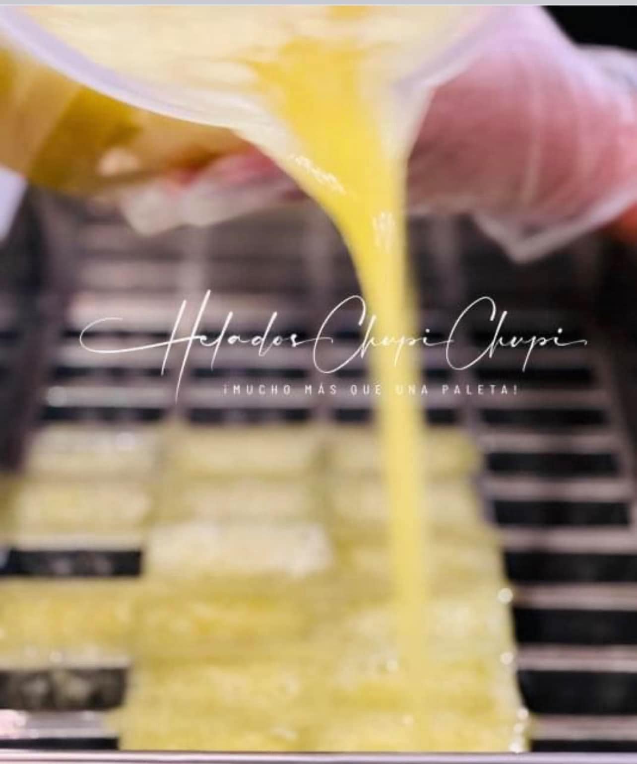 Artisanal Popsicles